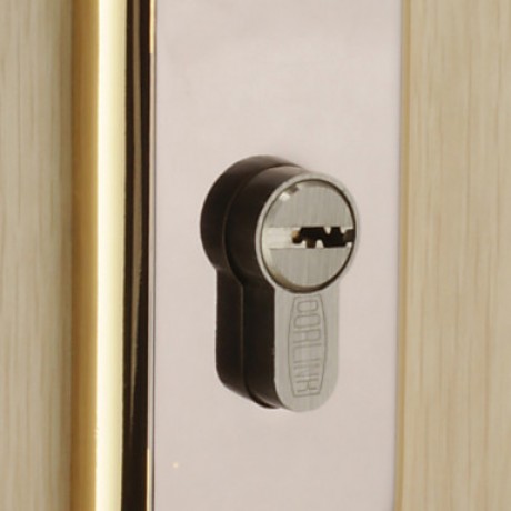 Contemporary Zinc Alloy Golden Keyed Entry Door Lock  