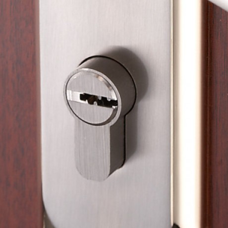 Contemporary Zinc Alloy Golden Keyed Entry Door Lock  