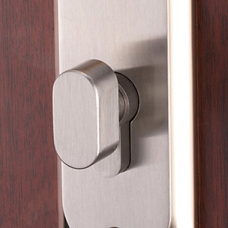 Contemporary Zinc Alloy Golden Keyed Entry Door Lock  