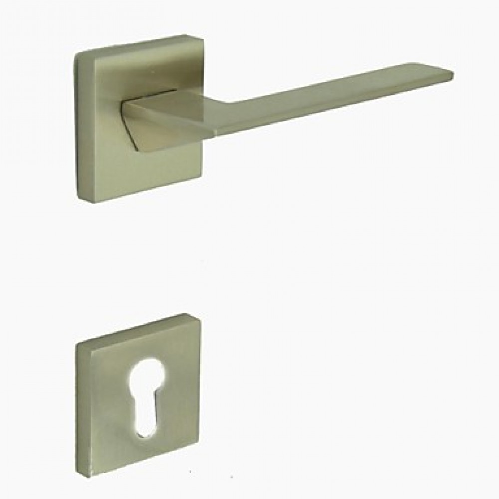 Brushed Nickel Alloy One Set Door Handle  