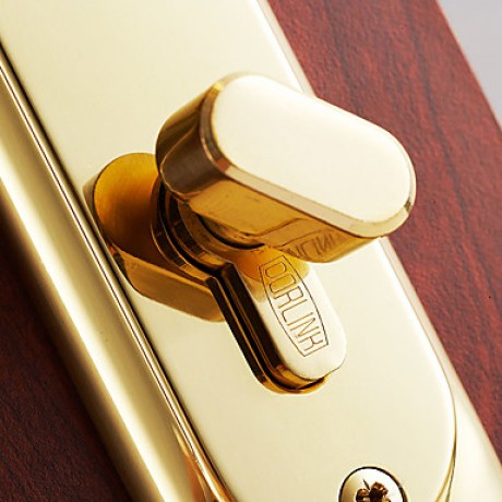 Classic Brass Golden Keyed Entry Door Lock  